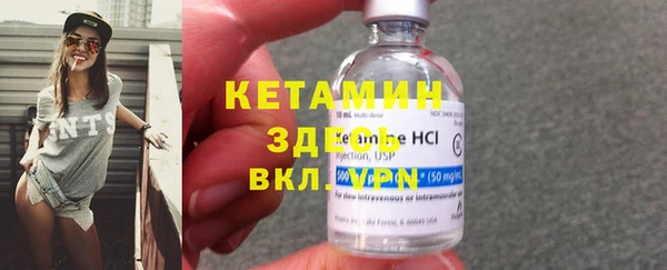 стаф Богданович
