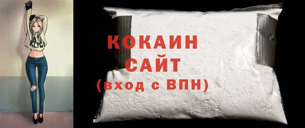 стаф Богданович