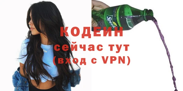 спайс Бородино