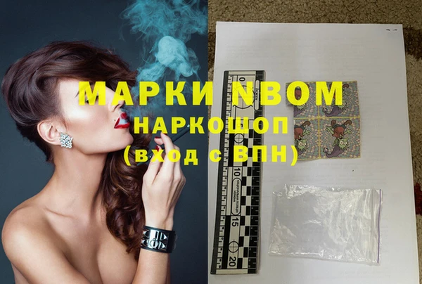 стаф Богданович