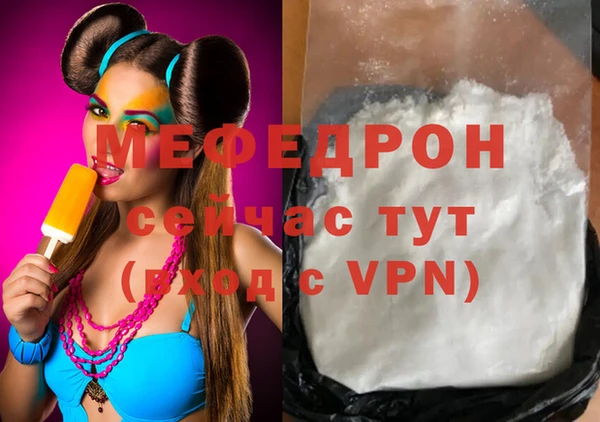 стаф Богданович