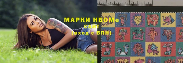 стаф Богданович