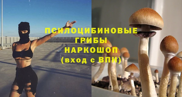 стаф Богданович